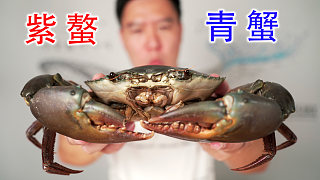 用紫螯青蟹做蟹肉煲給老鐵粉下飯，居然啪啪打臉？