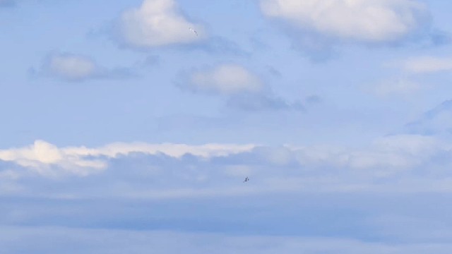 让你快速翻身的5大新兴行业，你察觉到了吗？