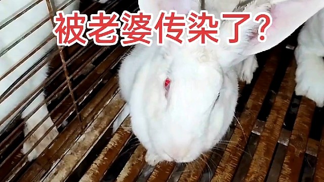 一比七，幸福的同时危险无处不在？