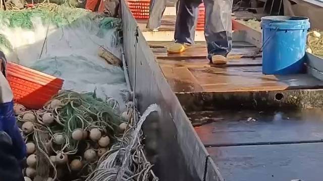 渔民自家渔船打捞，喜欢吃新鲜海鲜关注我