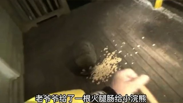 它们很直觉，拿一根就走了