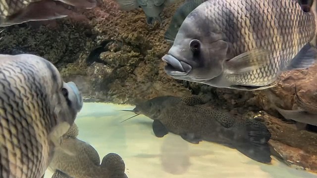 真是太不把我当外人了