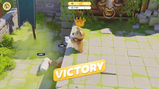 动物派对，求订阅