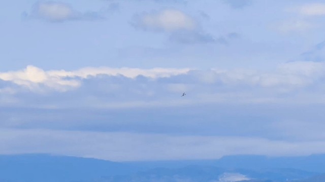 这三种面试送命题，看看你中招了吗？