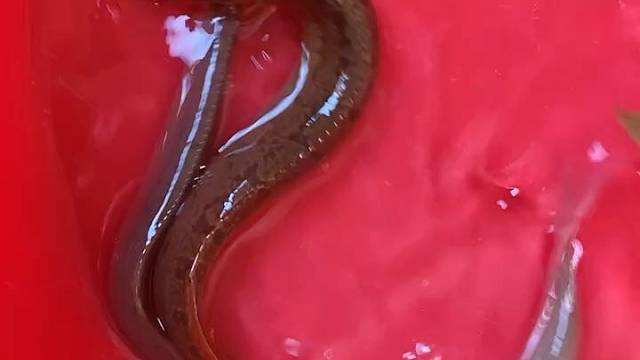 蹲了一天就得这么两条