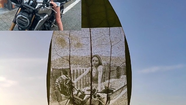 一片有意义的叶子送给男女朋友情侣小孩爱人老人同学同事……#树叶雕##树叶画#