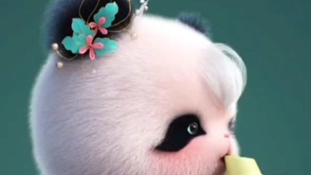 好可爱的小熊猫