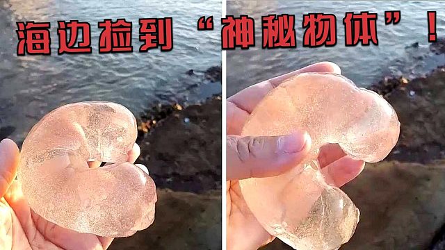 游客海滩发现一块月牙状“果冻”，Q弹十足，正要捏却遭到阻止！
