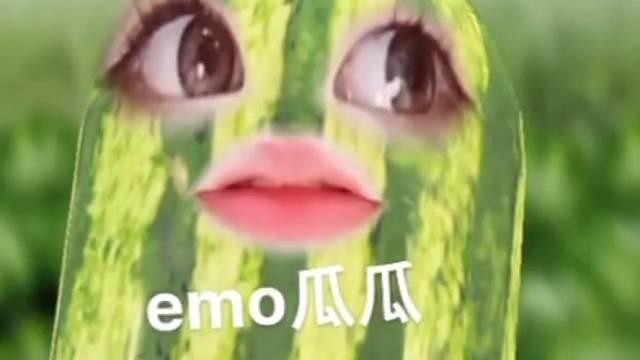 emo瓜瓜