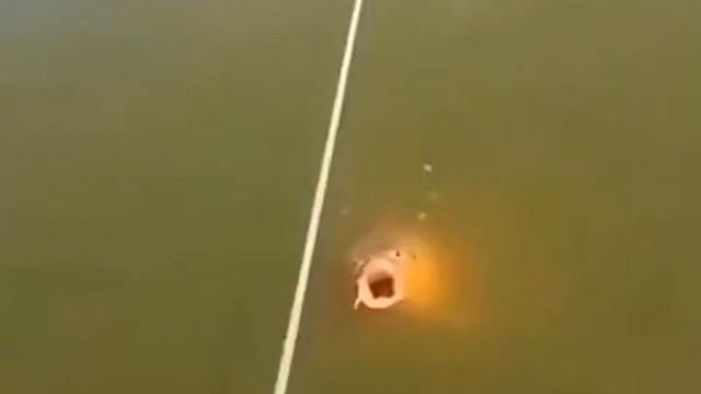 它是不是在骂我？