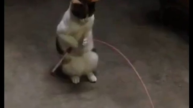 自己陪自己玩儿