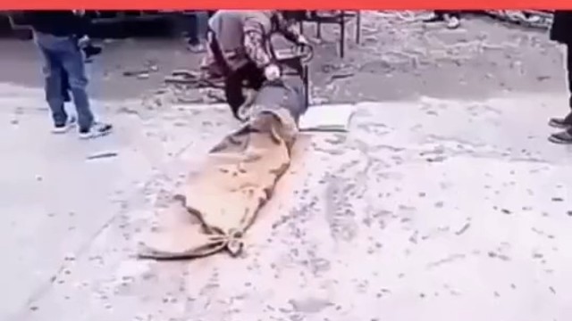 见过鸡被吓哭的吗