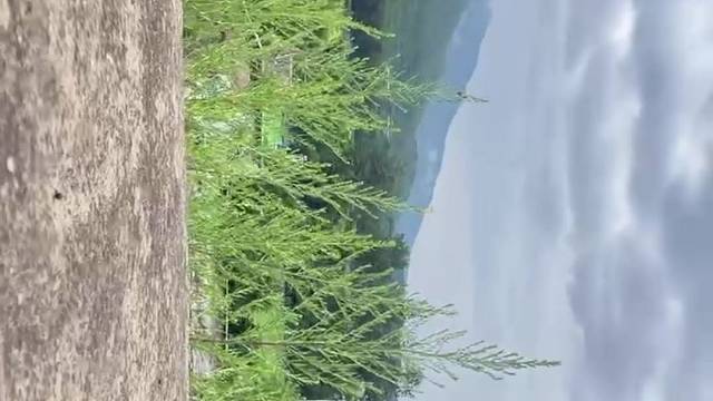 你多久没有抬头仰望天空了。