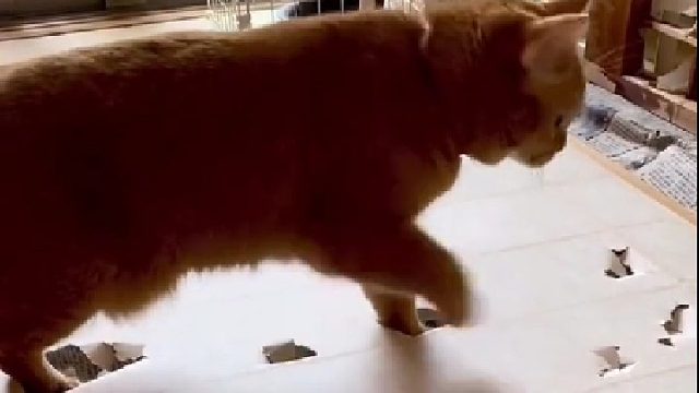 踩哪里哪里是坑，跟装修一样