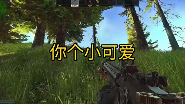 逃离塔科夫:你个小可爱！