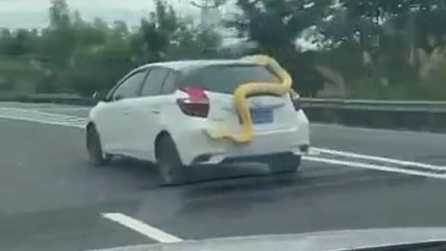 好家伙，司机是许仙吧