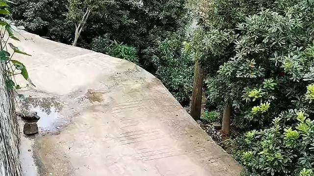 考驾照的时候也没教这一手啊.。。。。。。。。