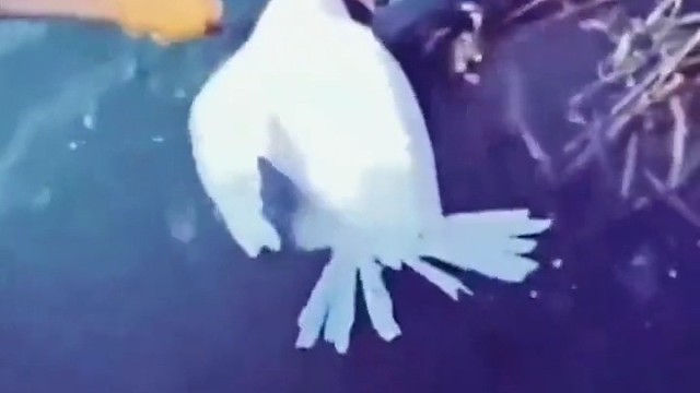 这么顺手不知道对不对