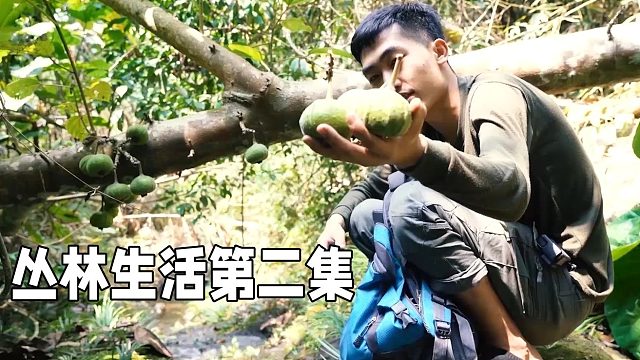 丛林生活2，小伙隐居野外过滋润生活，沿着小溪走找到很多美食