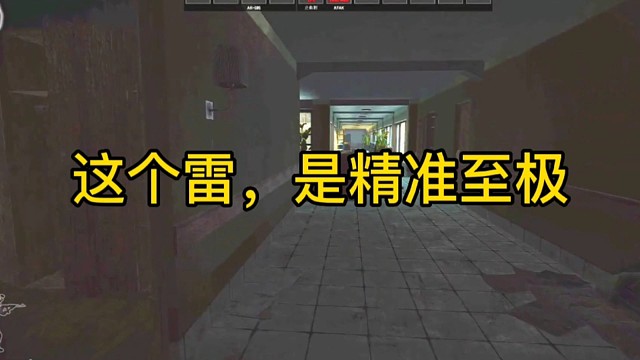 逃离塔科夫:这个雷，是精准至极！