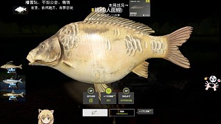 26圖-星錦鯉人面，附帶星帶型，星框子，一小時4星