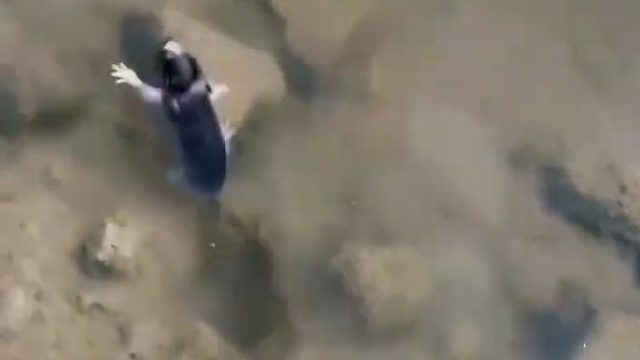 老鼠被虾夹到了，网友：纯鼠虾扯.