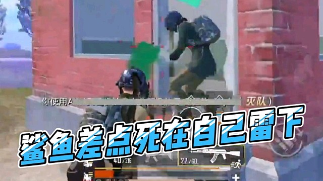 鲨鱼遇老六，吓得差点自己雷了自己