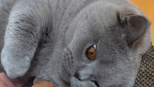 这演员不专业啊