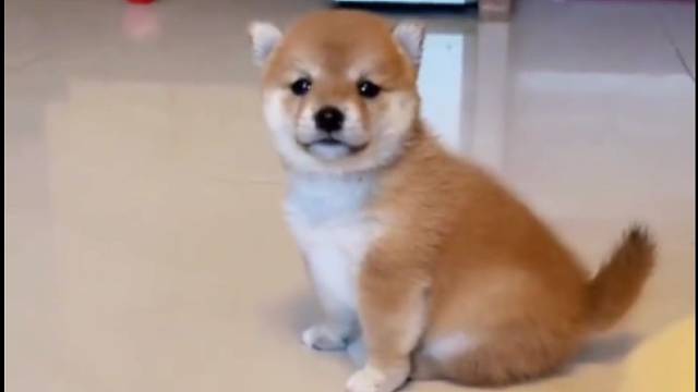 这位小朋友的脾气真的很爆了