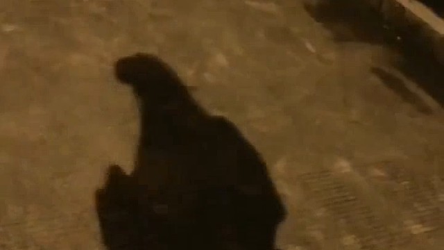 下班也不忘记快乐