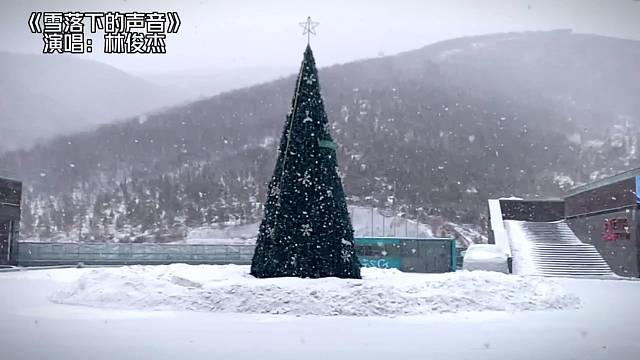 那年大雪