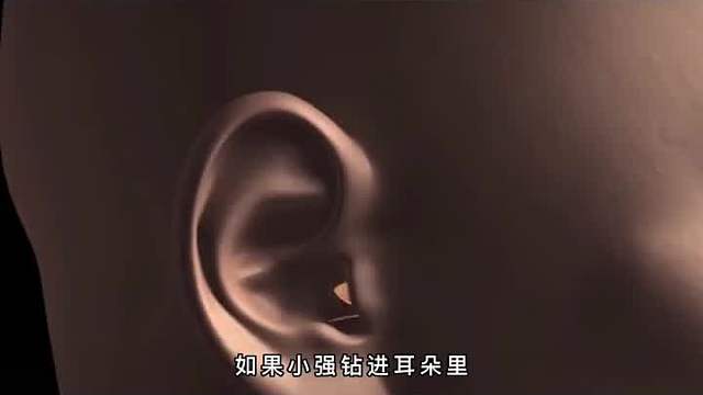 如果蟑螂钻进耳朵里，我们该如何自救