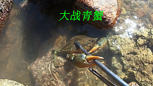 阿平赶海抓到了海鳗鱼和青蟹，还帮助了两只被搁浅的海怪