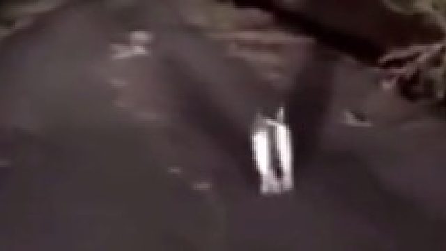 一个敢指，一个敢信！万物皆有灵，小动物会回馈！