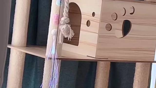 狗有主人
猫有员工
铲屎官太难了～