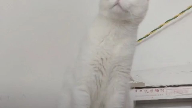 我唱歌巨好听！