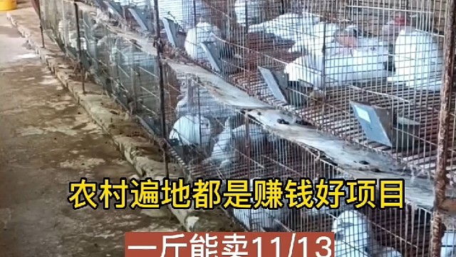 永圆养兔合作社