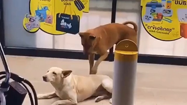 好朋友就要互相帮助