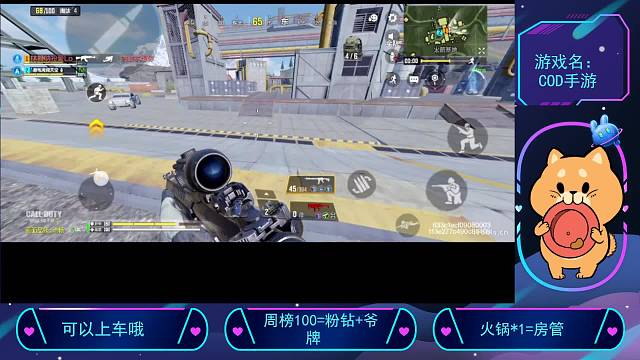 来给你看个宝贝