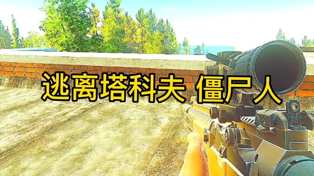 逃离塔科夫:僵尸人！