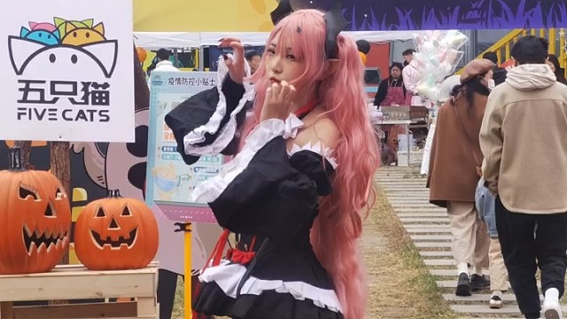 万圣节百猫集结