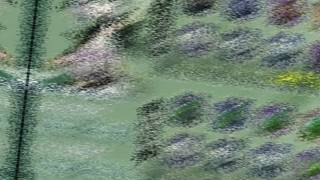 小草神的突破材料表