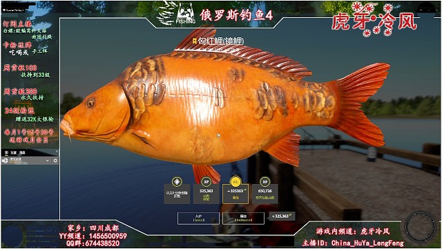 我帮大哥的号上第五条稀有鲤鱼已经把我心态搞炸了