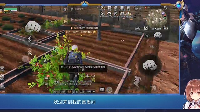 挑战三天突破1w南瓜