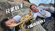 要不是亲眼所见，真不知道这种水坑能抓这么多肥得流油的大膏蟹