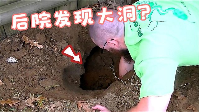 男子在后院发现一个洞，挖开一看，竟然找到自己失踪多年的宠物！