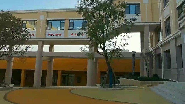 皂角树下的晨读～