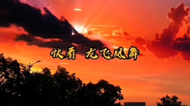 龙飞凤舞
