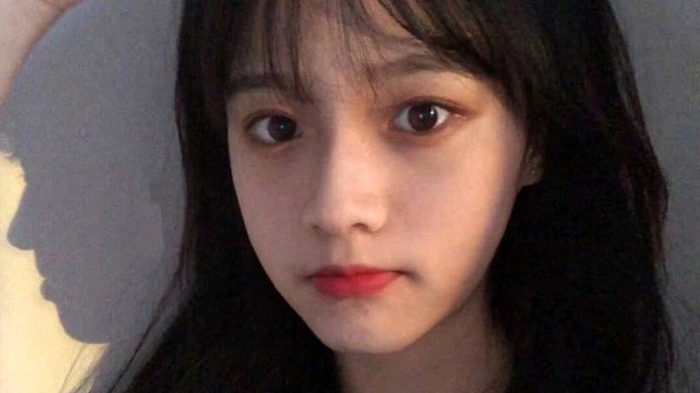 我也愿学习蝴蝶，一再的蜕变，一再的祝愿，既不思虑，也不彷徨；既不回顾，也不忧伤。