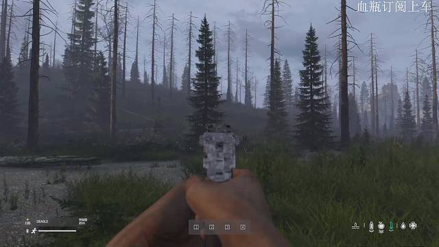 鹿岛求生免费分享服务器